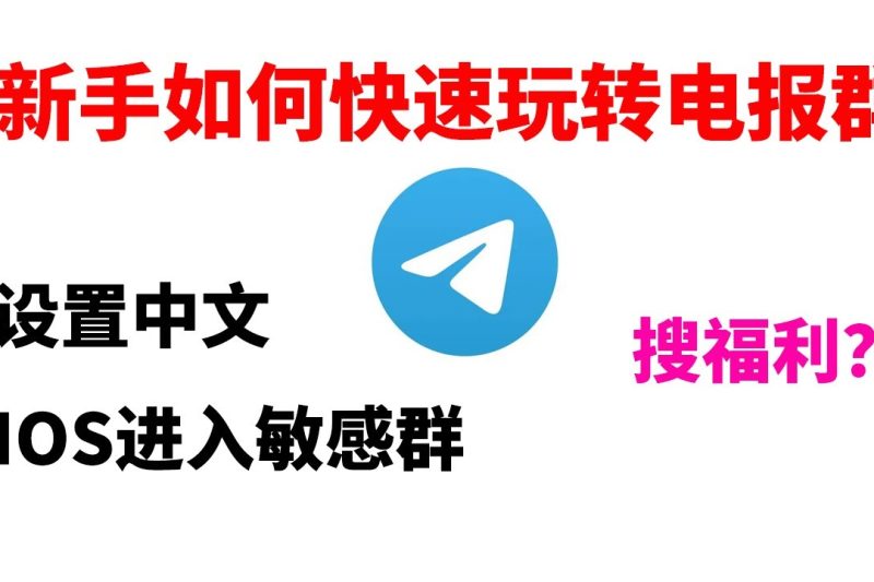电报群组是干什么的，要怎么使用？