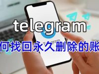 忘记了 Telegram 账号如何找回？超详细全流程指南