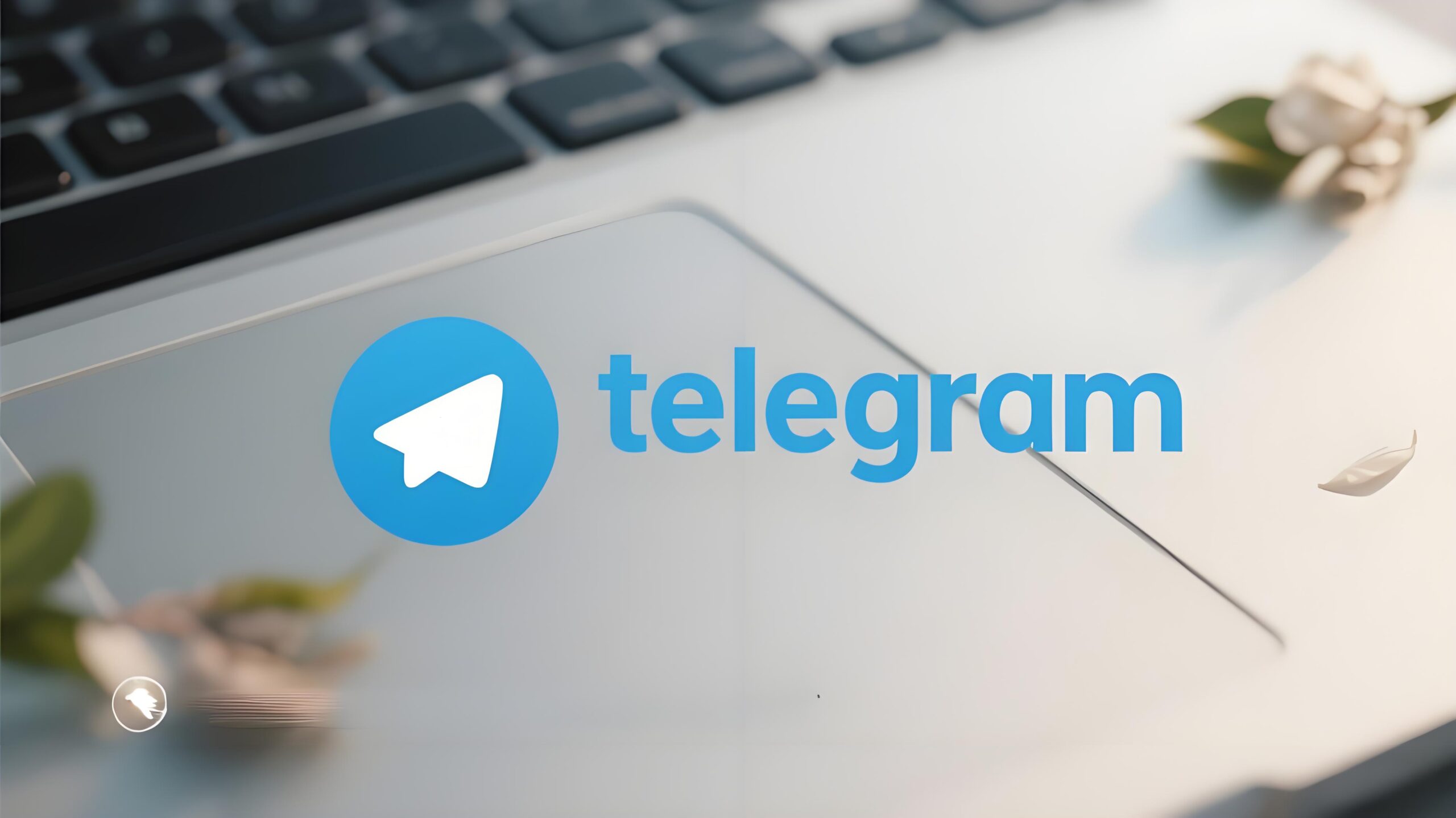 新版本Telegram到底比旧版强在哪？答案出乎意料
