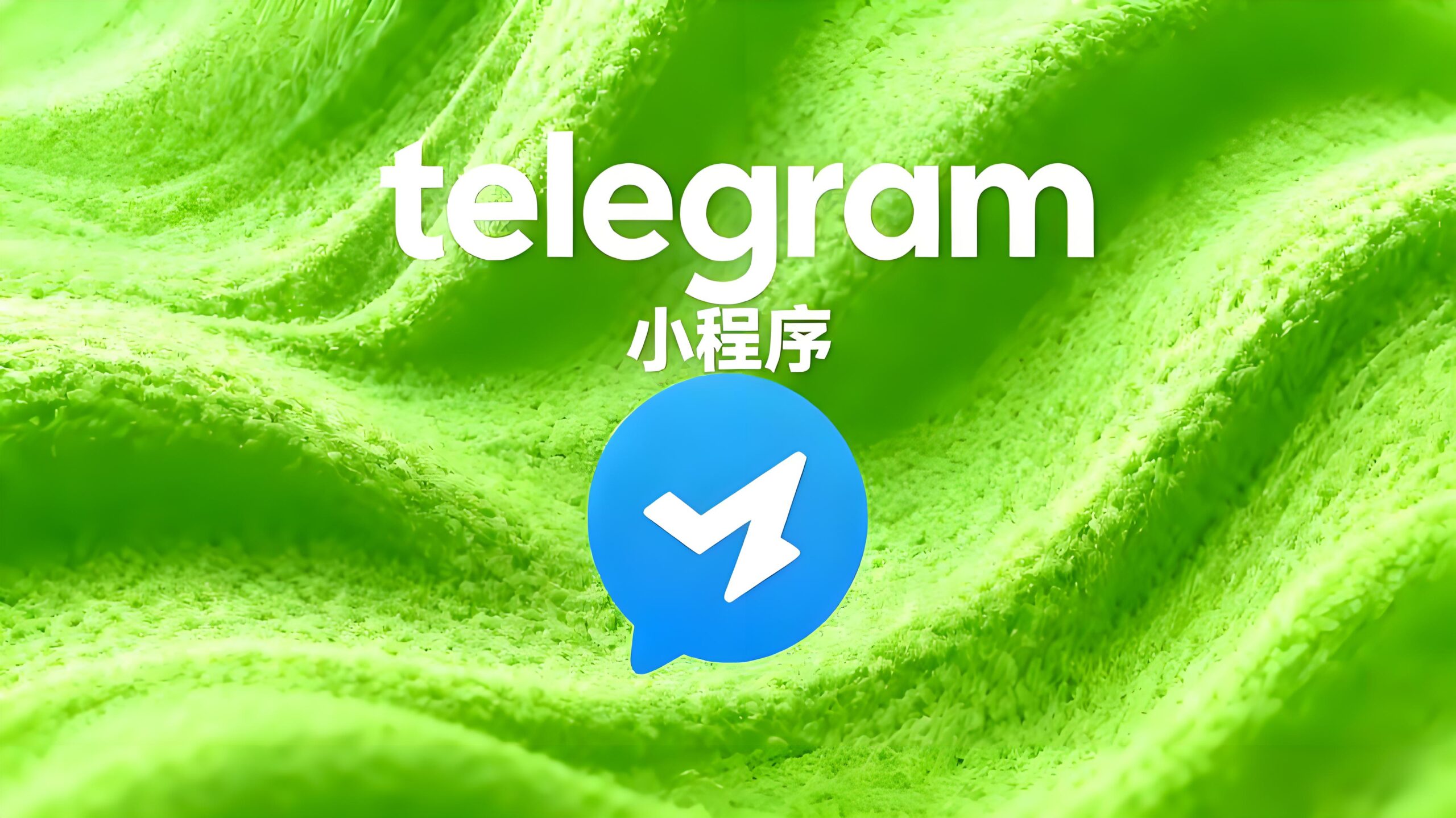 Telegram小程序打不开该如何解锁？