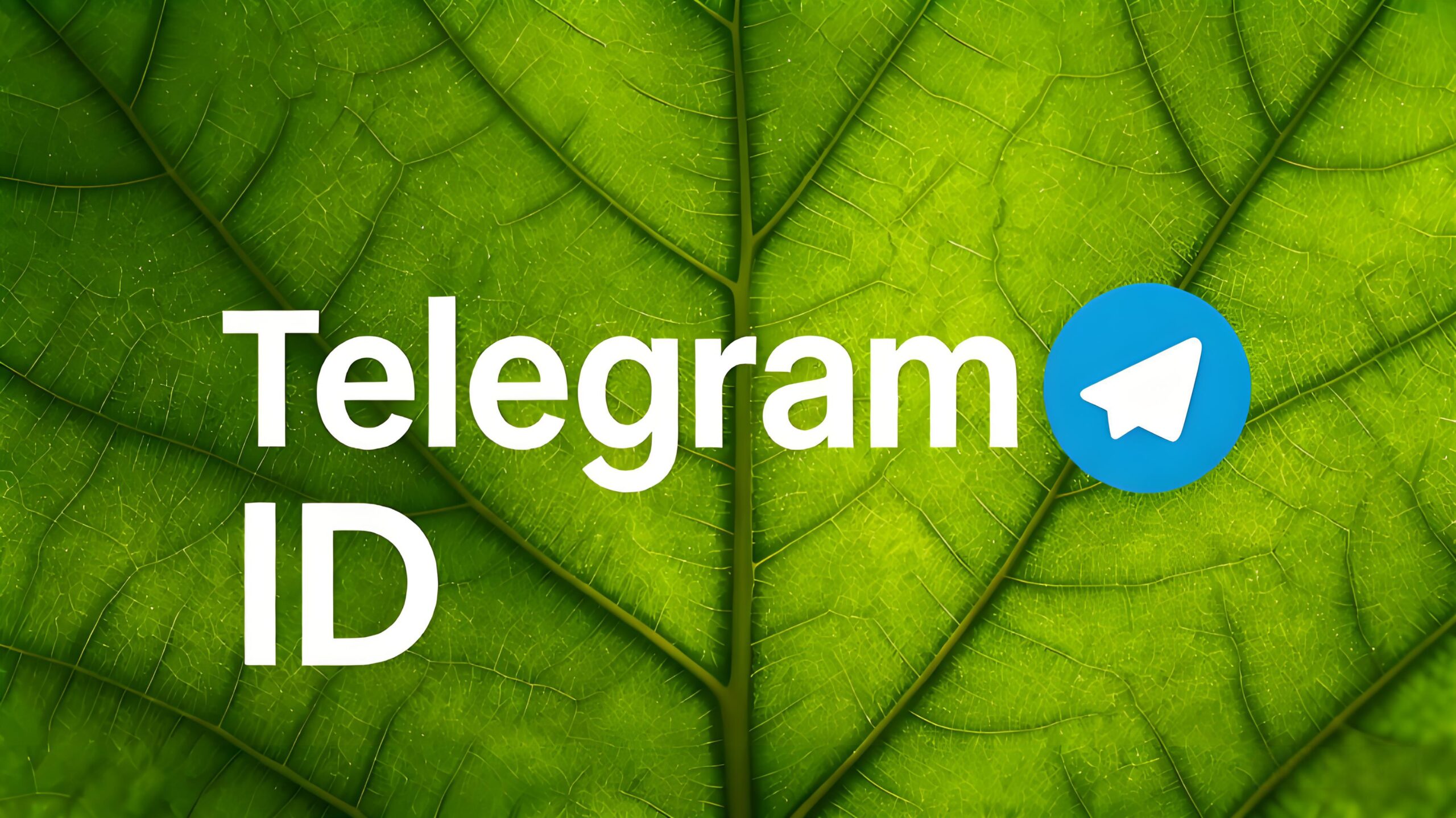 Telegram ID是什么？完整解析与使用体验