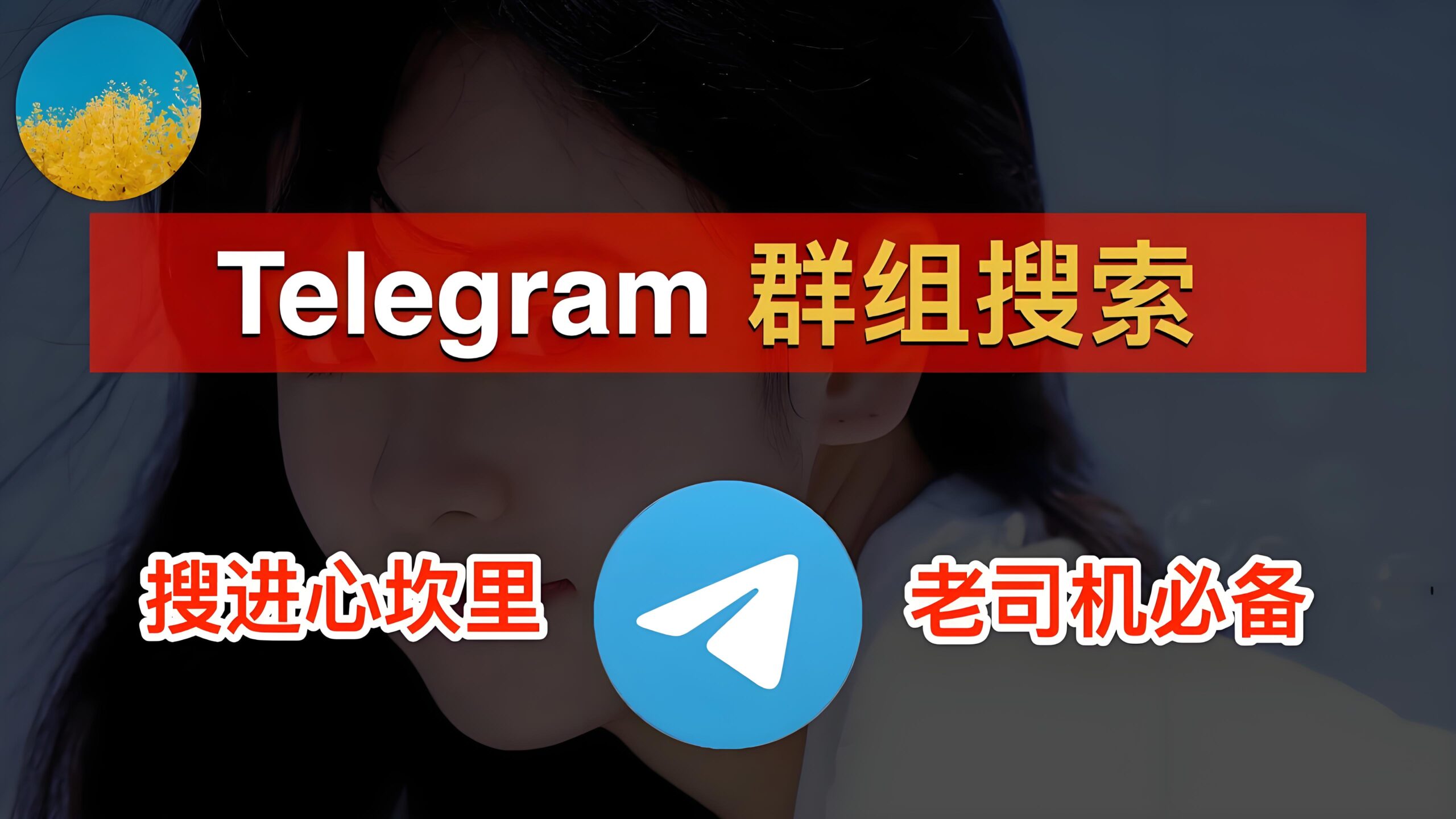 Telegram电报如何搜索群组？