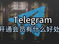 电报会员和普通版区别